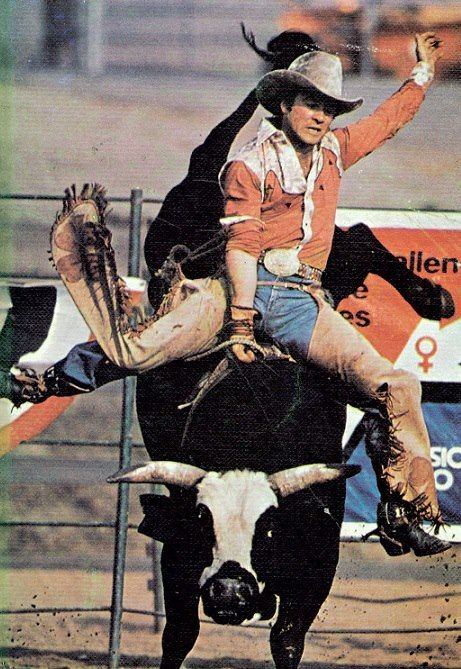 Larry Mahan rides a bull. 1972 was not a good year for the winner of Rodeo Cowboy of the Year title. However, in 1972, Larry came to the World Series with only $22,327. His winnings were so far behind Bobby Steinar, who had taken the rodeo through a quiet series of championships. It was Larry who produced vivid quotes picked up by a grateful media to describe 1972's World Champion. Larry decided to befriend me, which he did telling vivid rodeo stories and observations. On one occasion, Larry nearly slugged me at the Gusher Club after returning from three hours of rodeo to several hours of non-stop drinking. Larry was sitting with a stunningly beautiful blonde Playboy model when I arrived. His hat was on a chair. I picked up the hat. Suddenly, amiability was replaced by rage. A quickened set of danger threatened until Peter Gent, author of Dallas Noth 40, grabbed Larry around his arms so he could not slug me. 